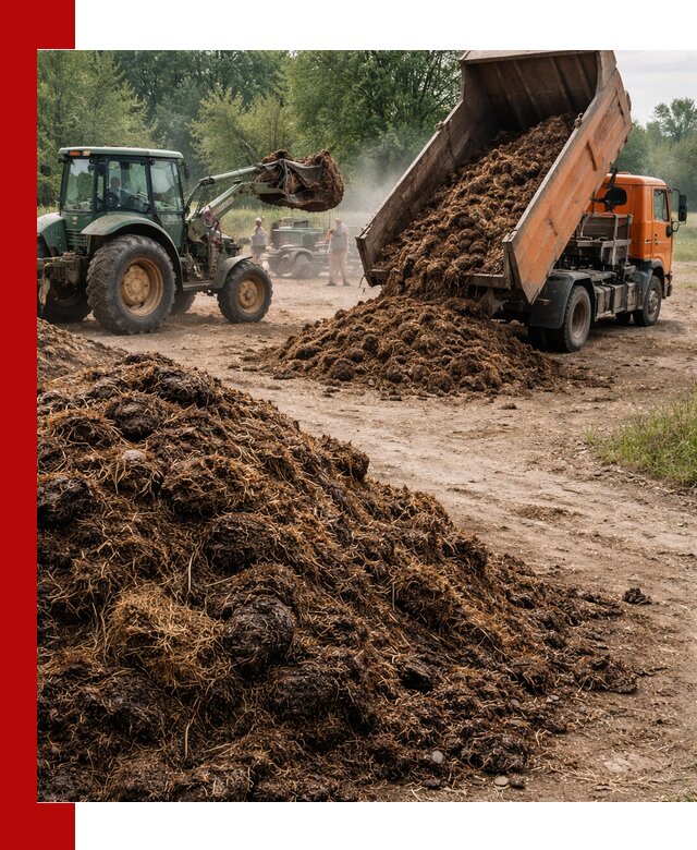 Доставка навоза самосвалами в Красном Сулине для сельхозпотребностей