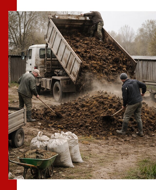 Доставка коровьего навоза самосвалом в Красном Сулине